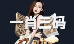 国办的这个全球人工智能平安峰会自始至终都没